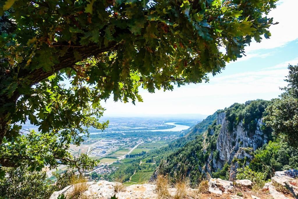 Photo of Others in Saint-Peray