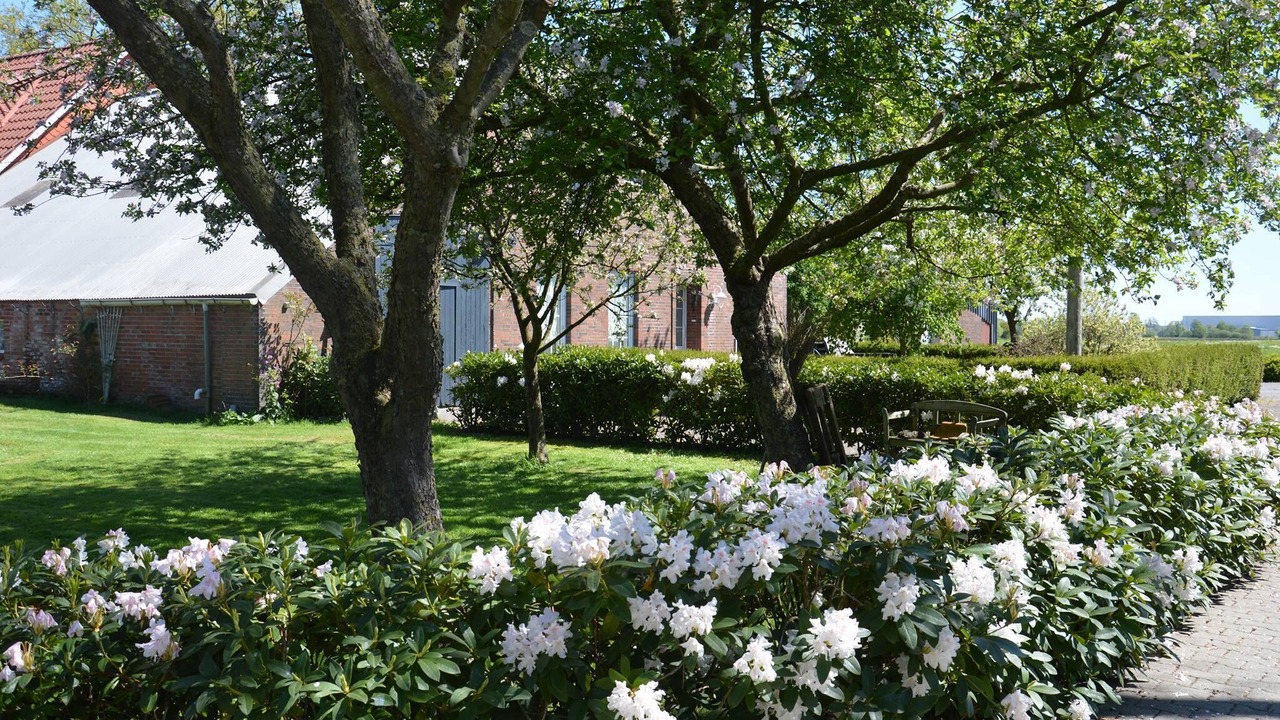 Photo of Outdoor in Uplengen