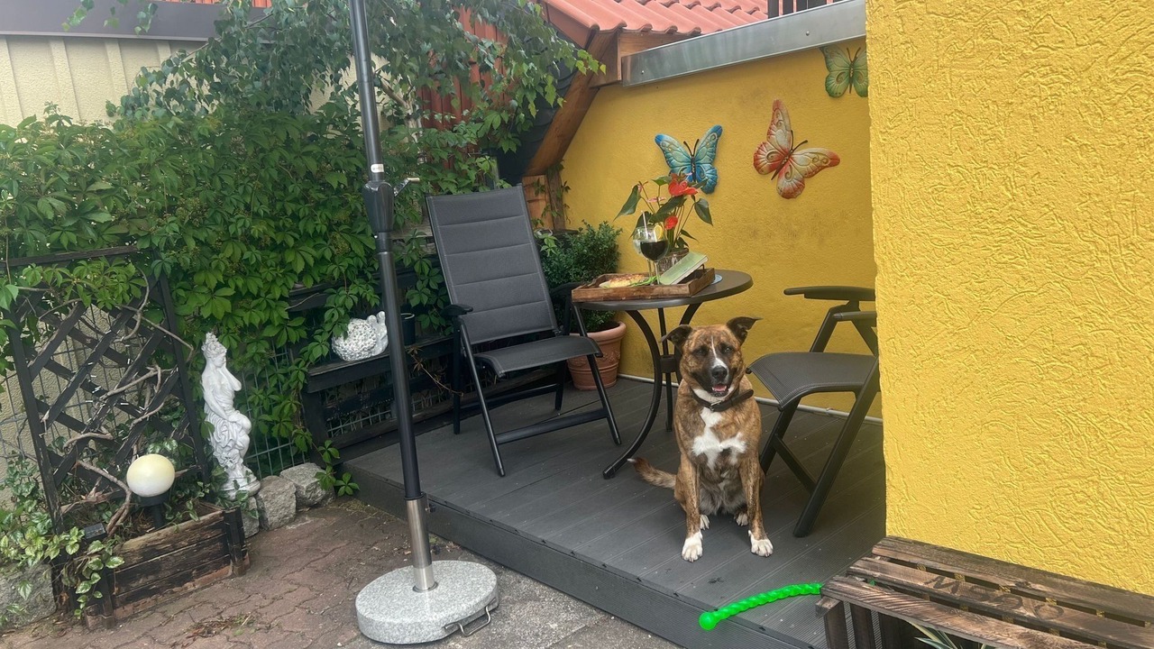 Photo of Patio Balcony in Hasserode