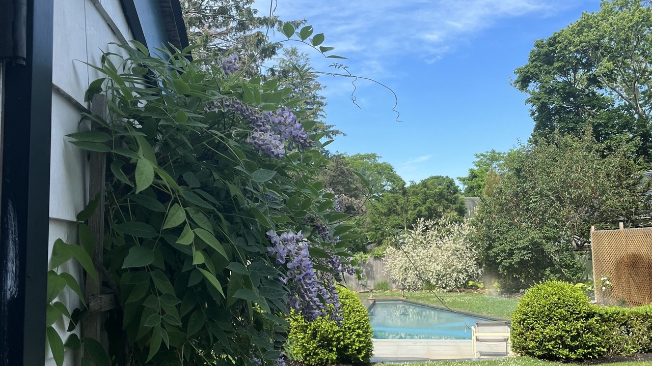 Photo of Outdoor in Village of Southampton