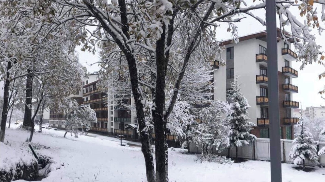 Photo of Outdoor in Bakuriani