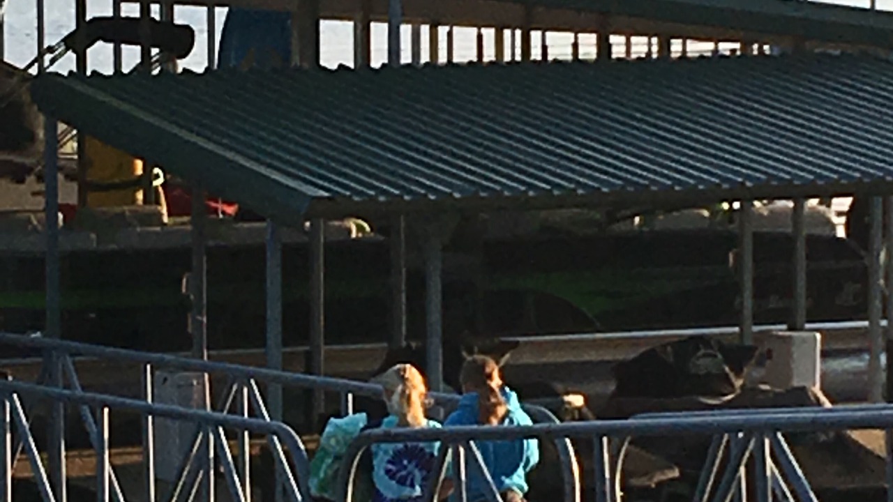Photo of Others in Camdenton