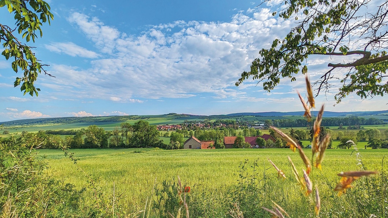 Photo of Others in Rottleben