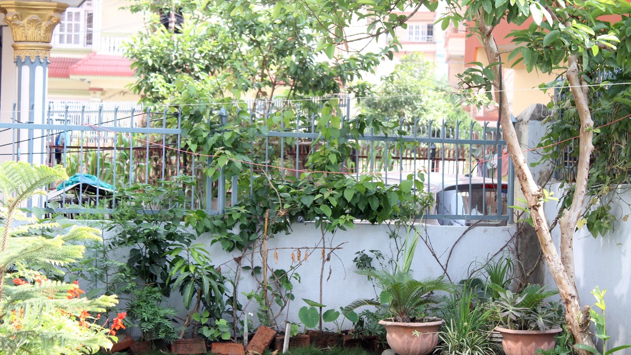 Photo of Outdoor in Nagarjun