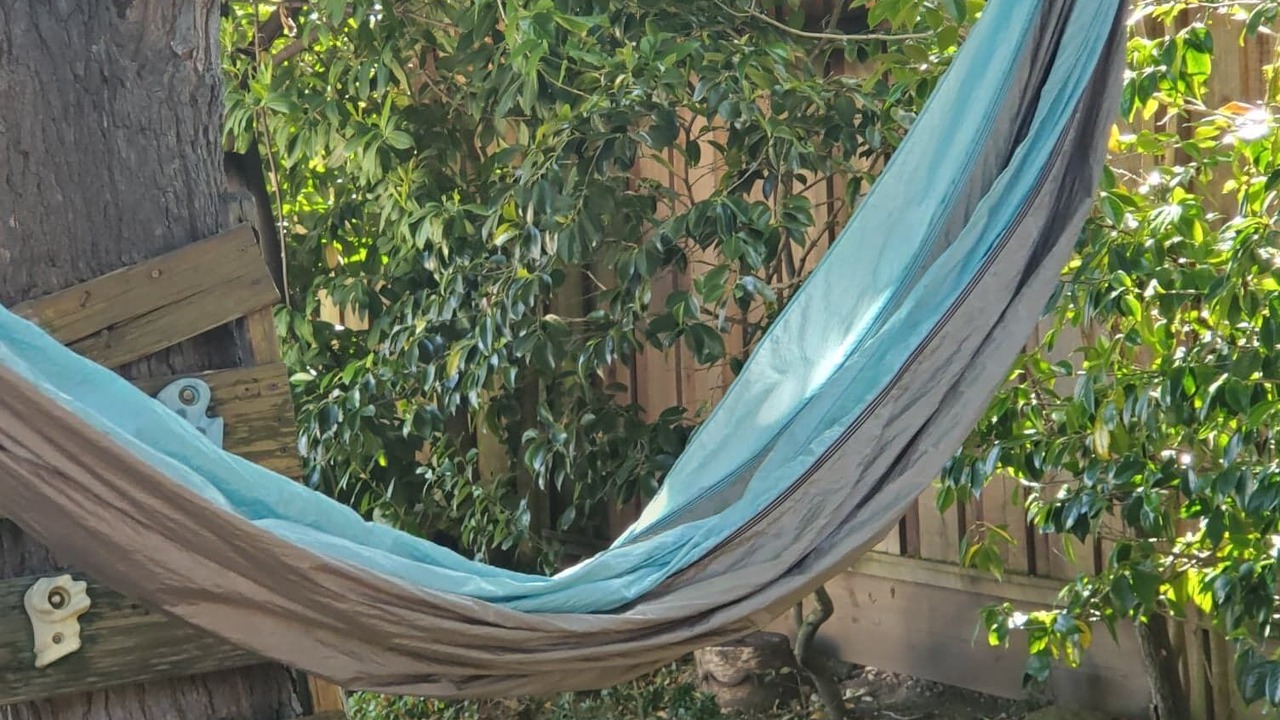 Photo of Outdoor in San Carlos