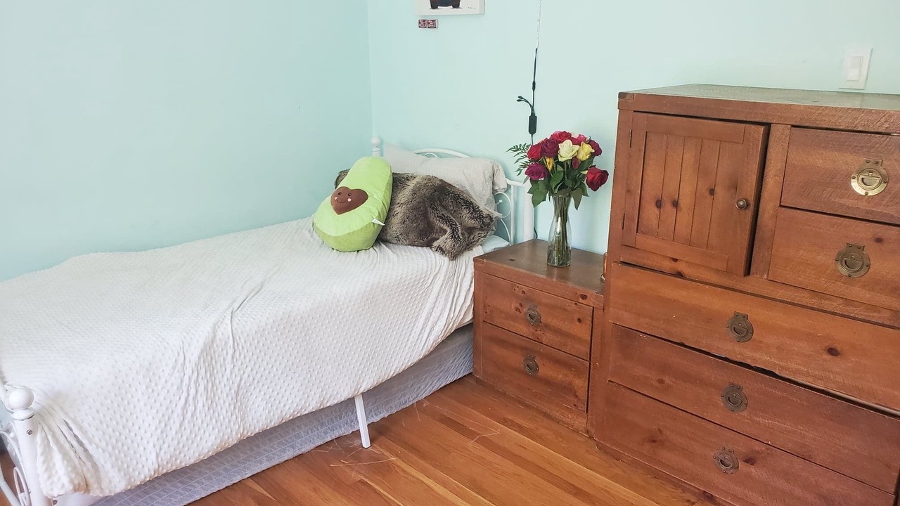 Photo of Bedroom in San Carlos