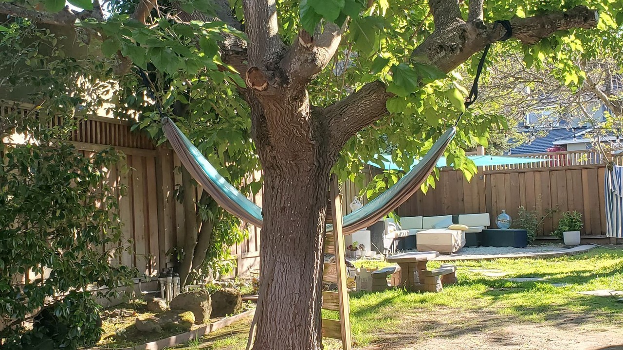 Photo of Outdoor in San Carlos