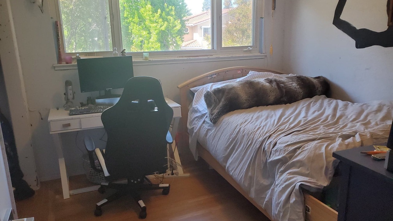 Photo of Bedroom in San Carlos