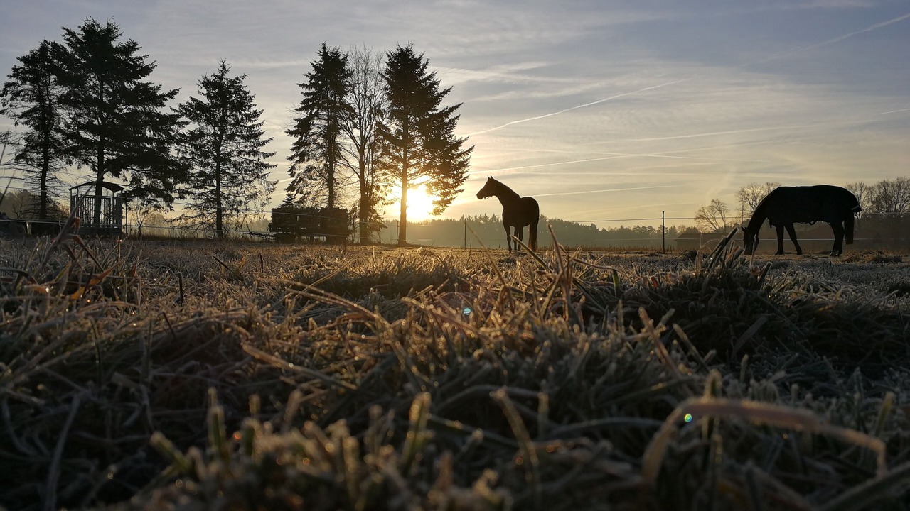 Photo of Outdoor in Soltau