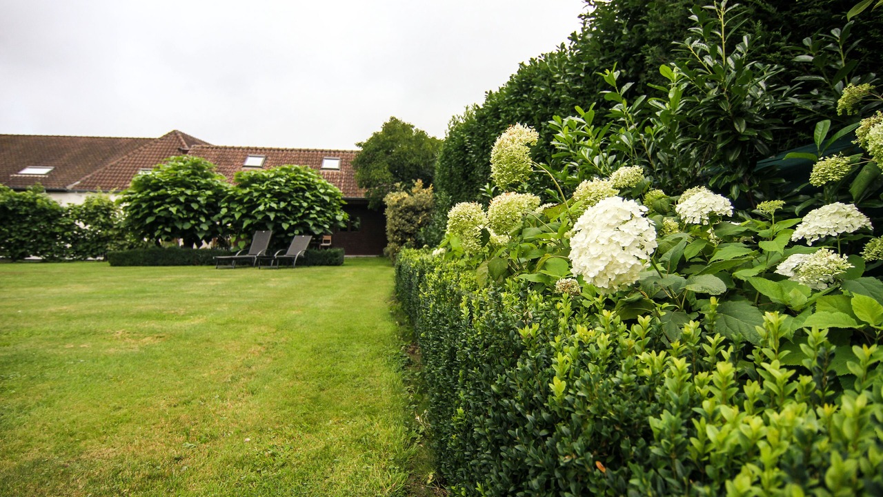 Photo of Outdoor in Alken