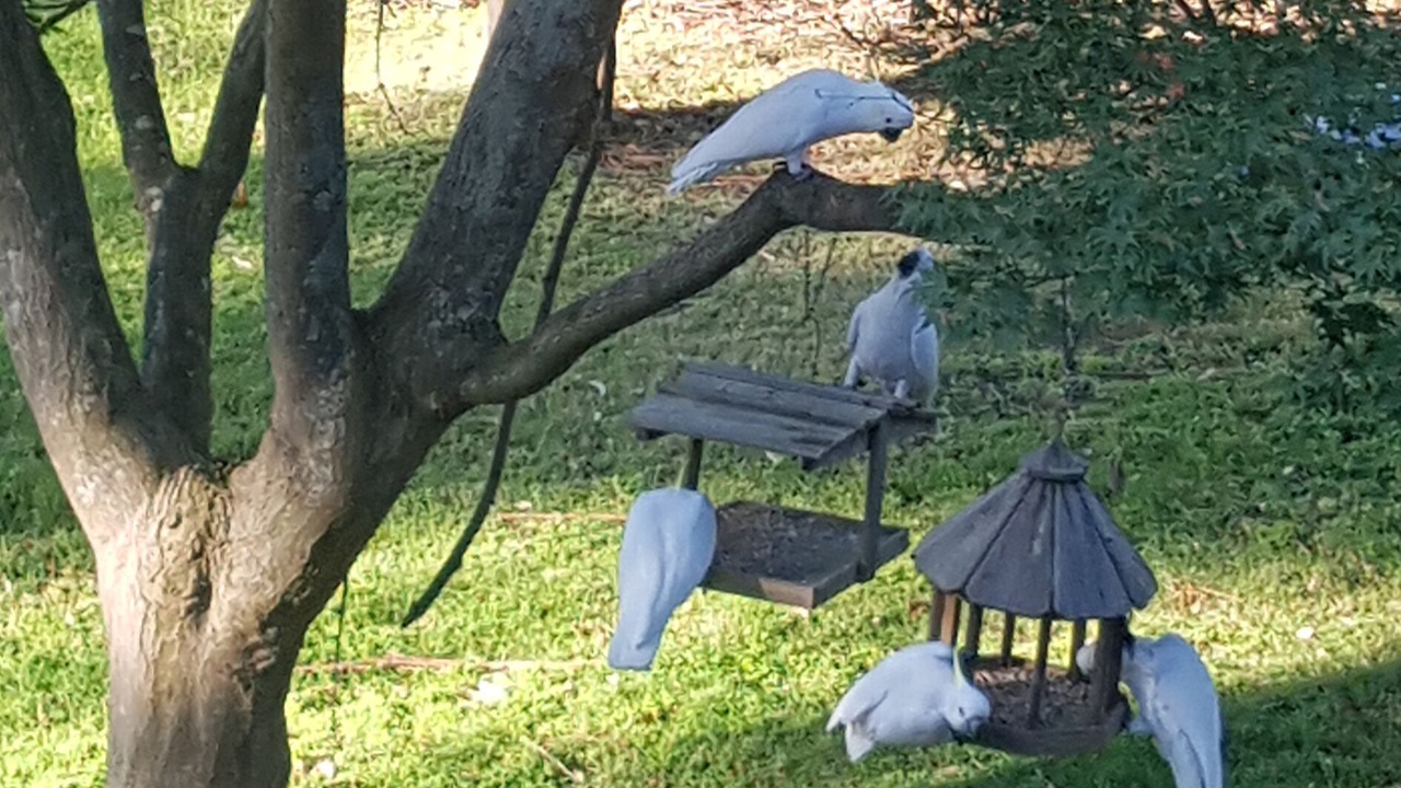 Photo of Outdoor in Lilydale