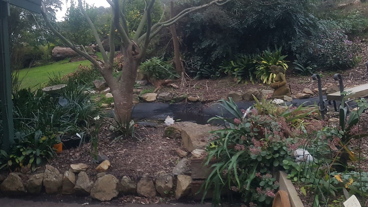 Photo of Outdoor in Lilydale