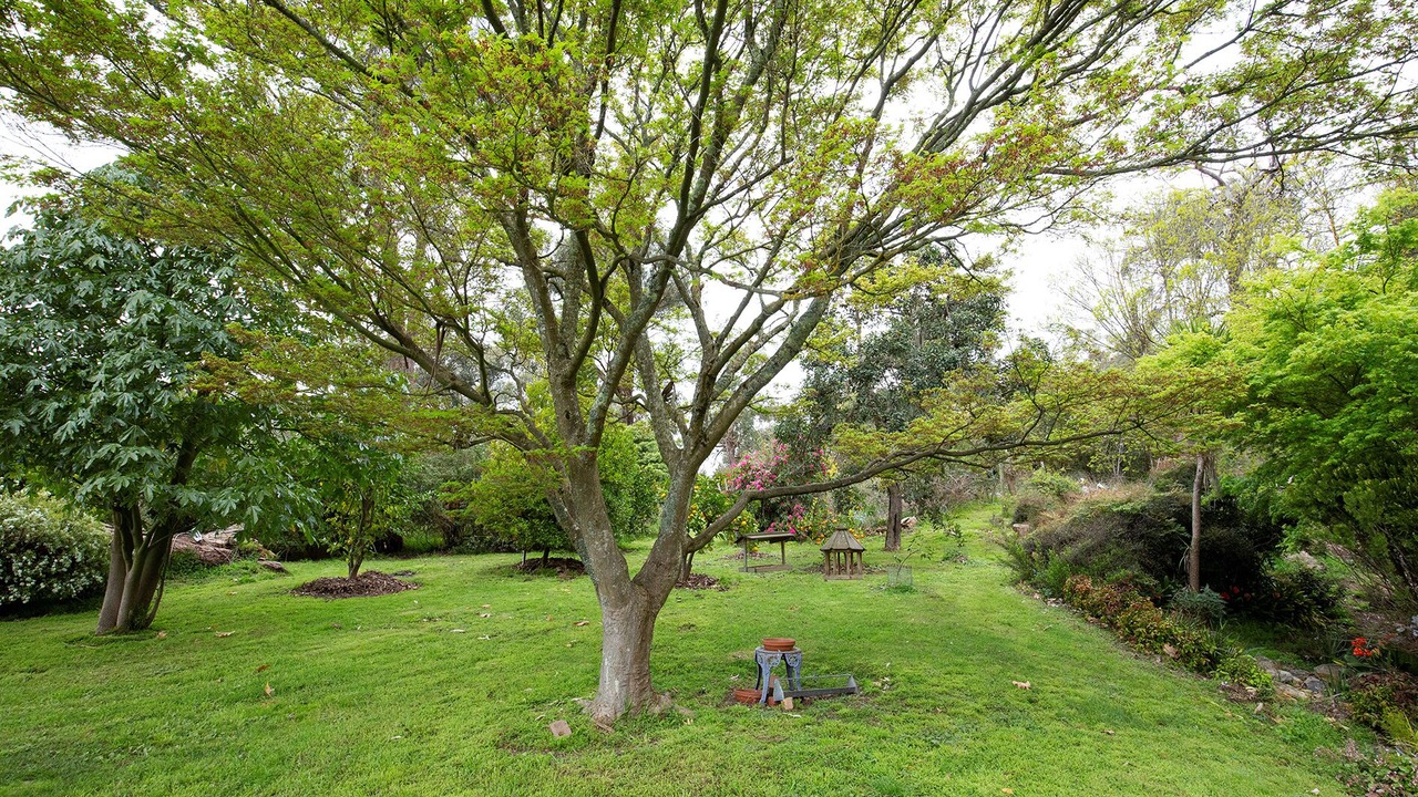 Photo of Outdoor in Lilydale