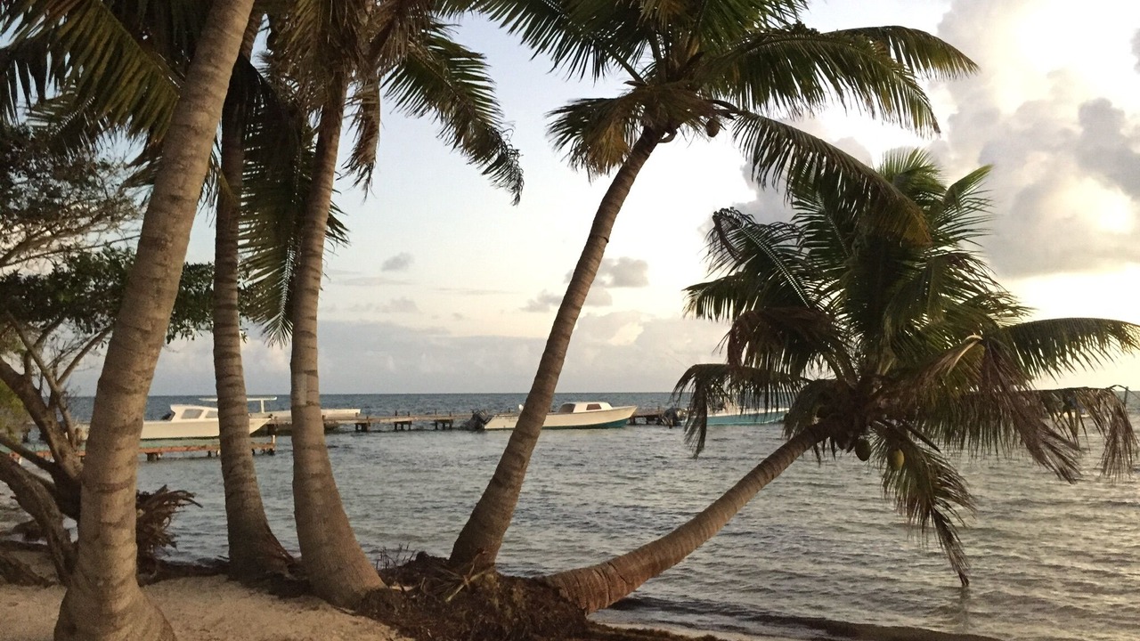 Photo of Outdoor in Lighthouse Reef