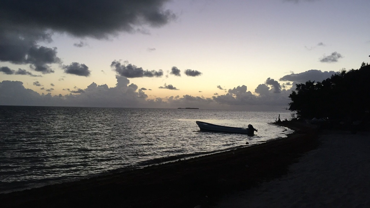 Photo of Others in Lighthouse Reef