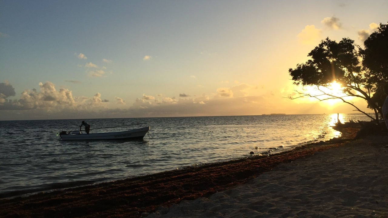 Photo of Others in Lighthouse Reef