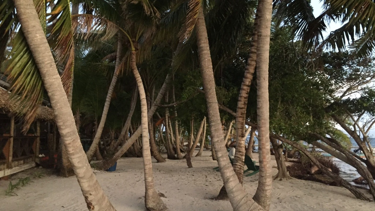 Photo of Outdoor in Lighthouse Reef