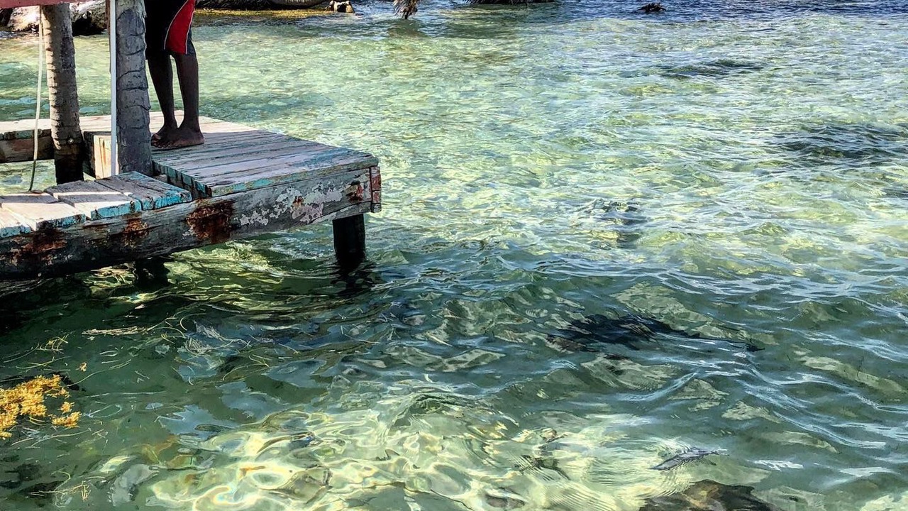 Photo of Others in Lighthouse Reef
