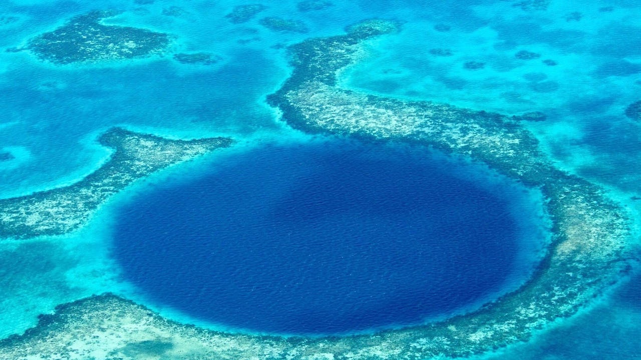Photo of Others in Lighthouse Reef