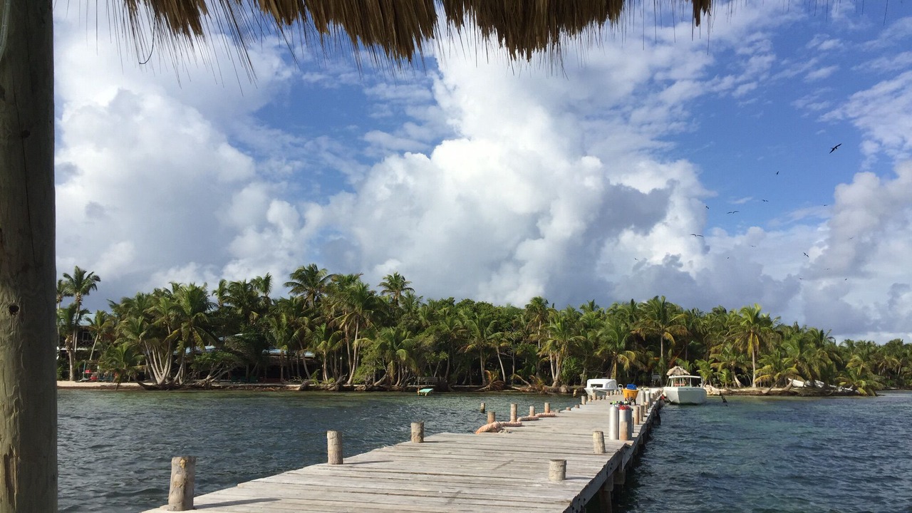 Photo of Others in Lighthouse Reef
