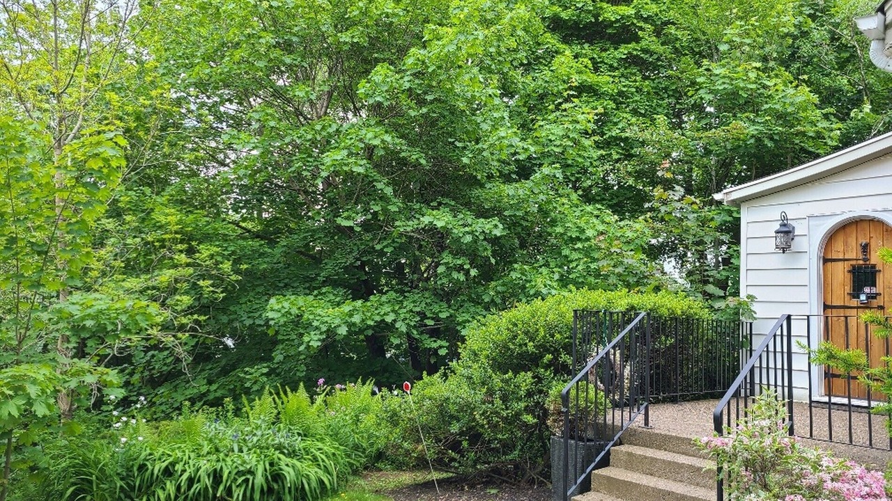 Photo of Outdoor in Halifax