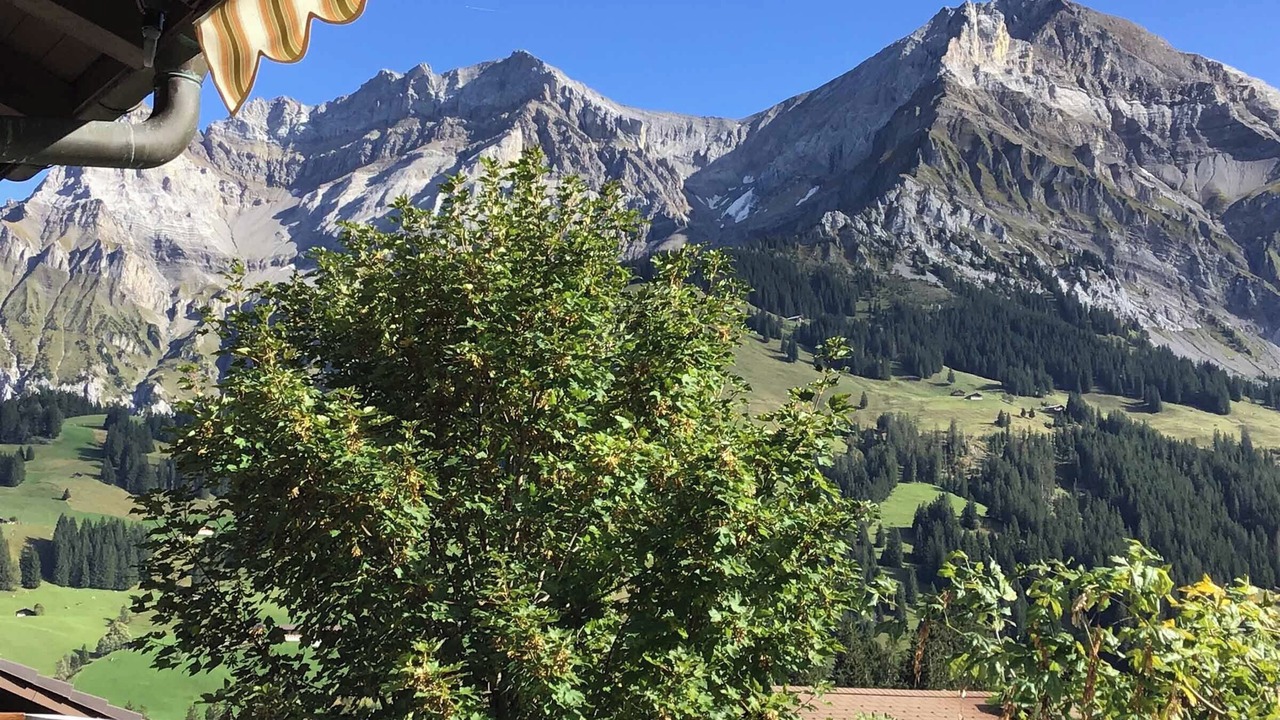 Photo of Patio Balcony in Adelboden