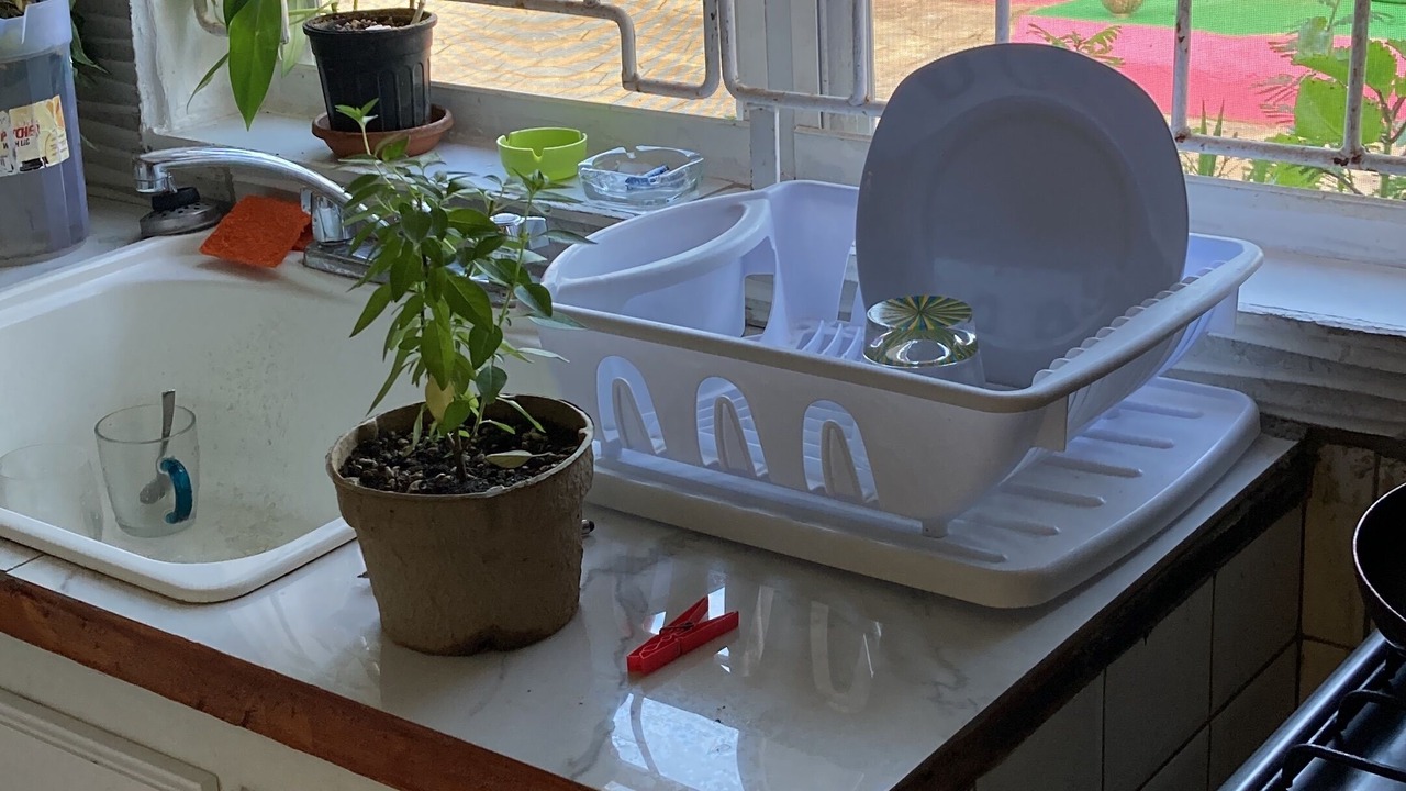 Photo of Kitchen in Ragged Point