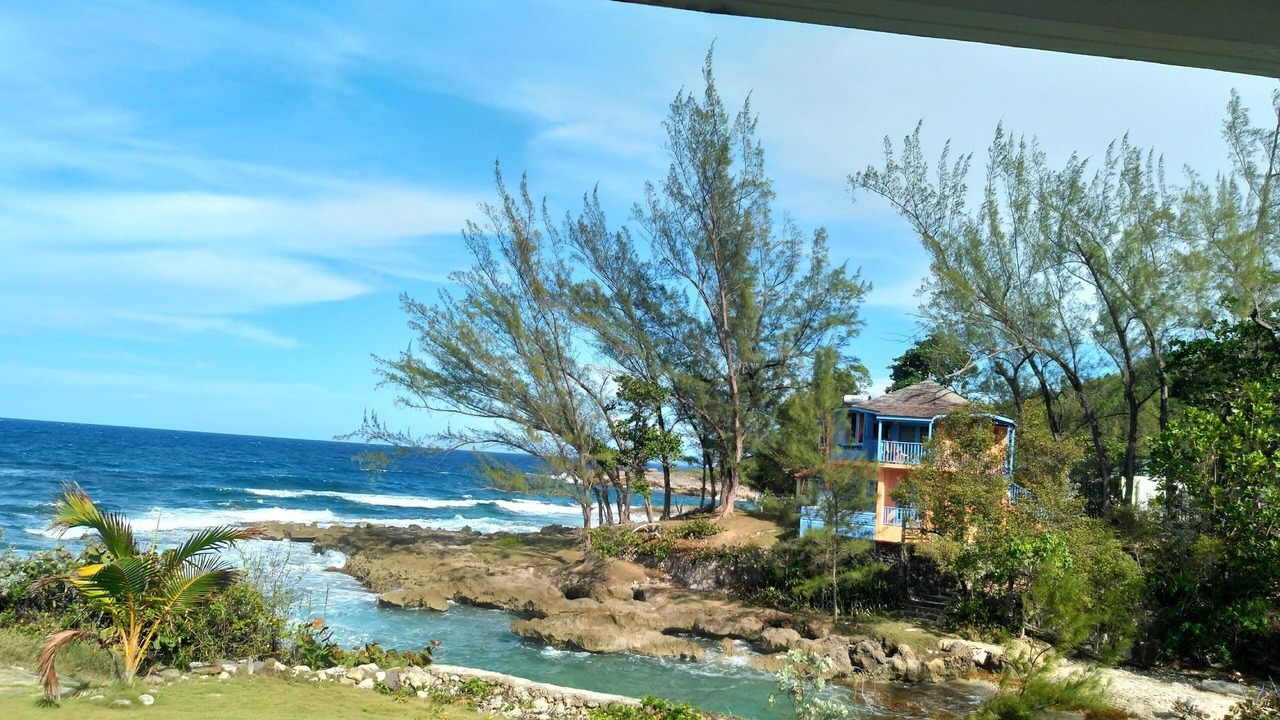 Photo of Others in Robins Bay
