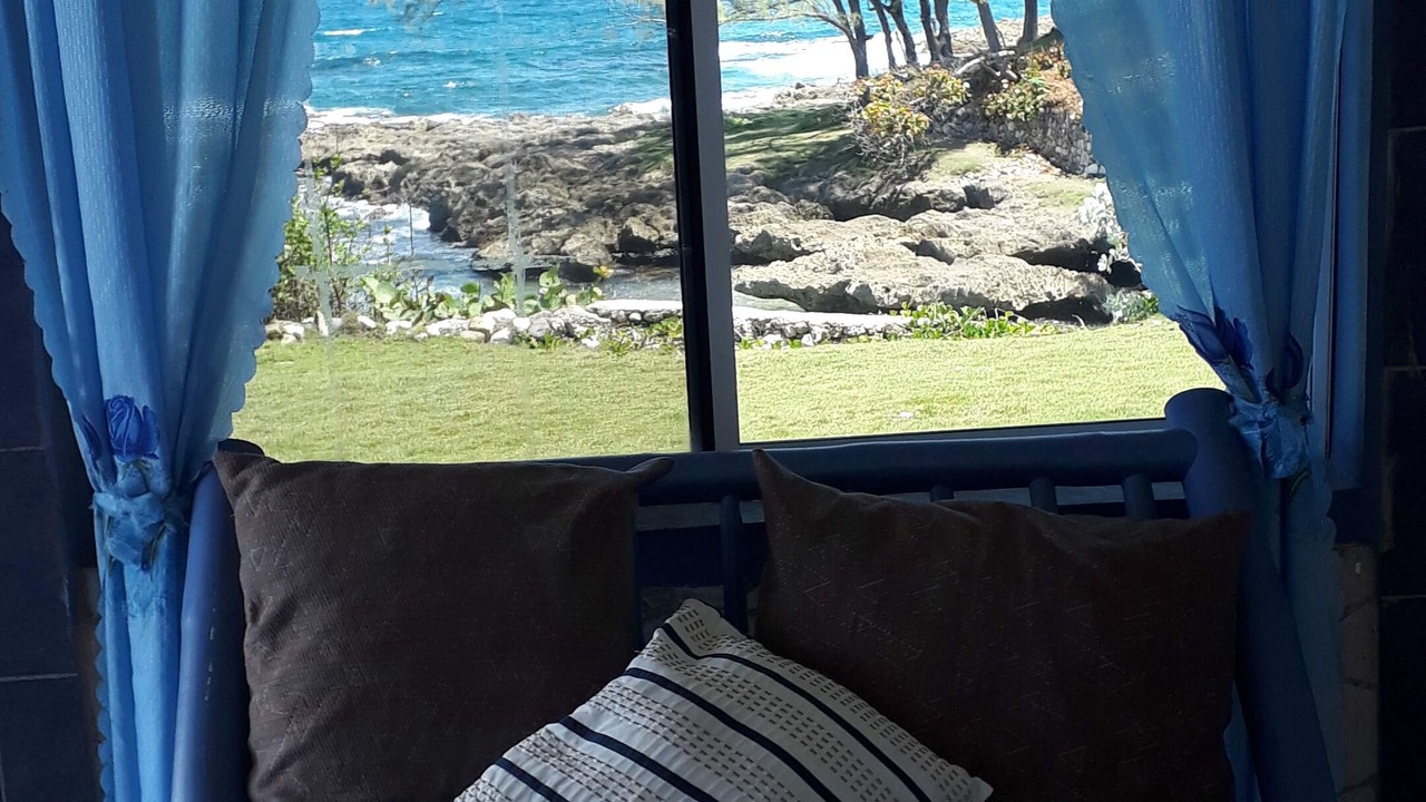 Photo of Others in Robins Bay
