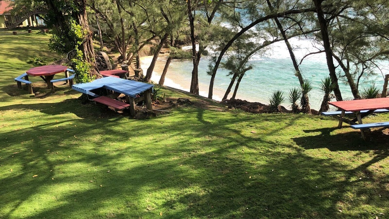 Photo of Others in Robins Bay