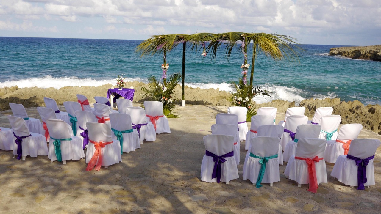 Photo of Others in Robins Bay