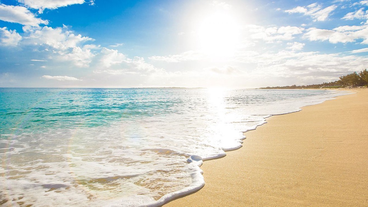 Photo of Others in Paradise Island