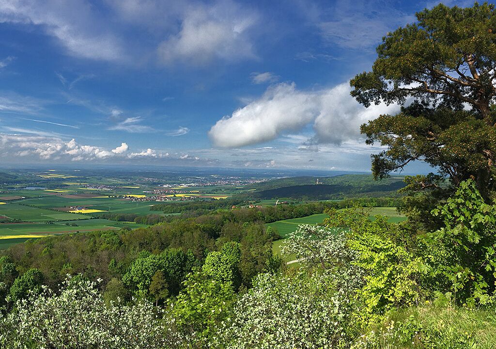 Photo of Others in Dorfles-Esbach