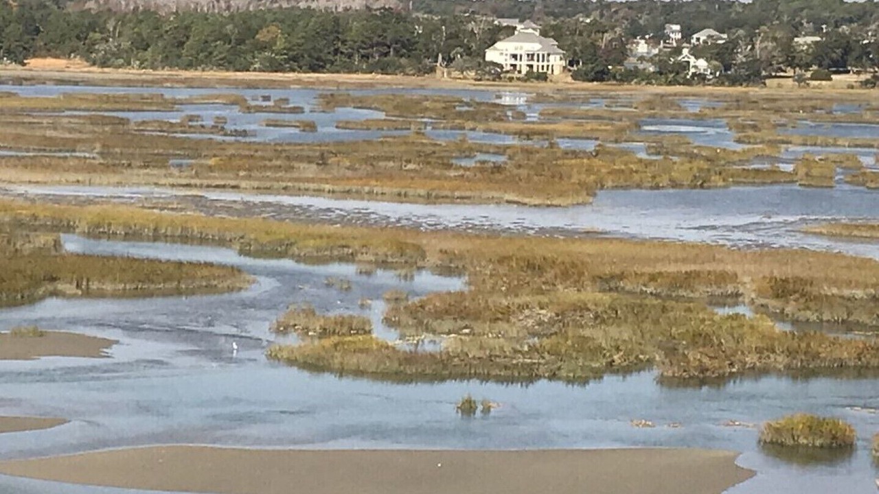 Photo of Others in Cherry Grove Beach