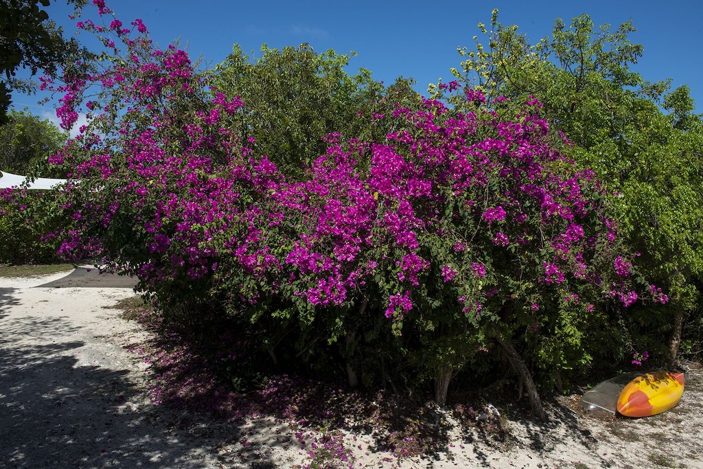 Photo of Outdoor in Savannah Sound