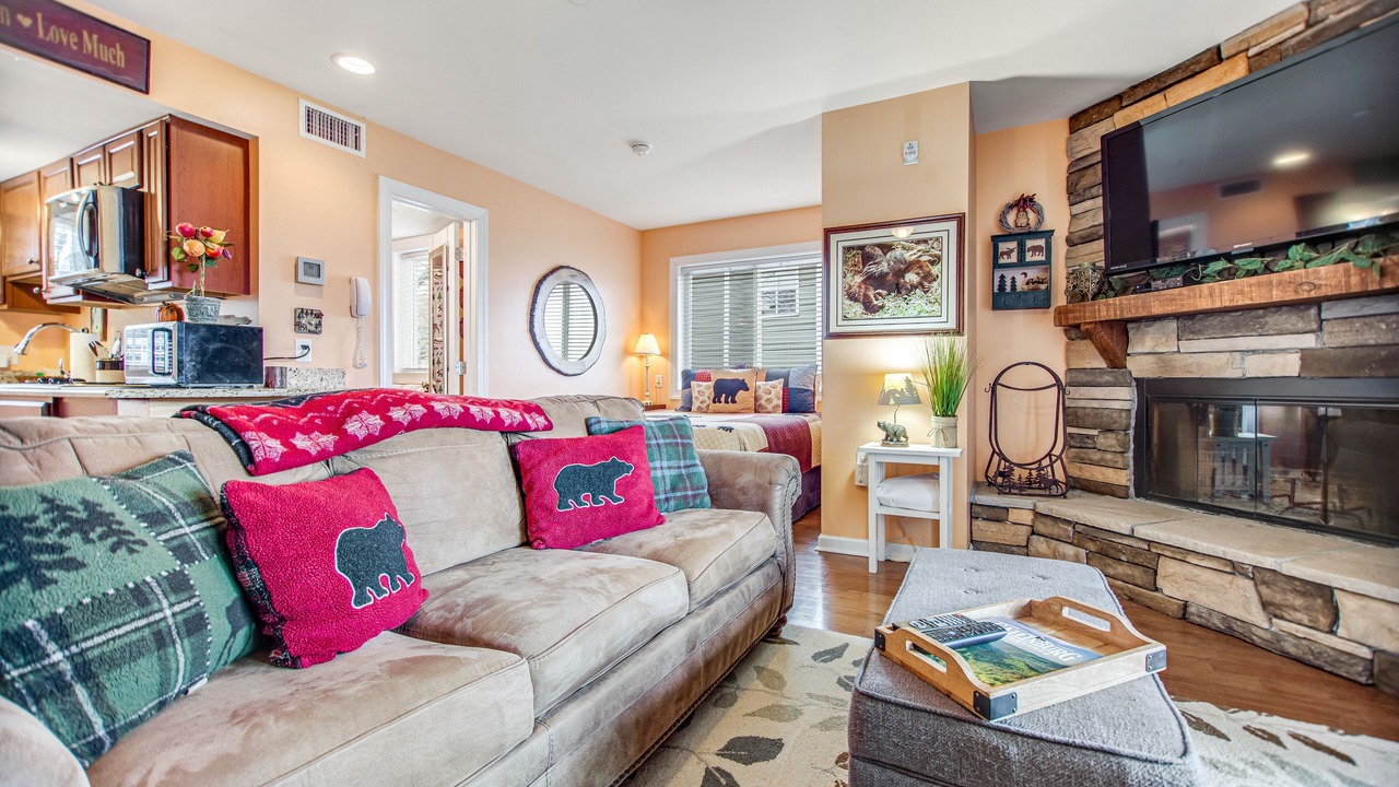 Photo of Livingroom in Chalet Village