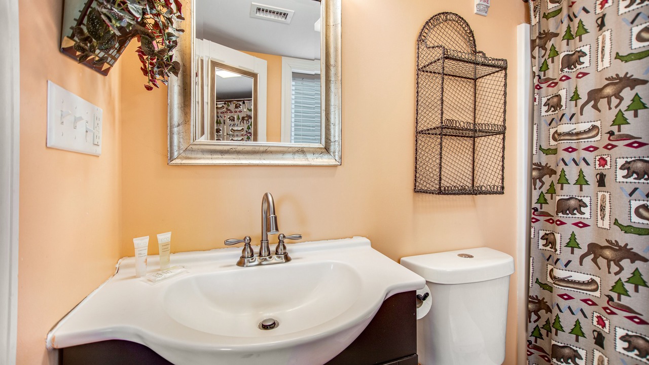 Photo of Bathroom in Chalet Village