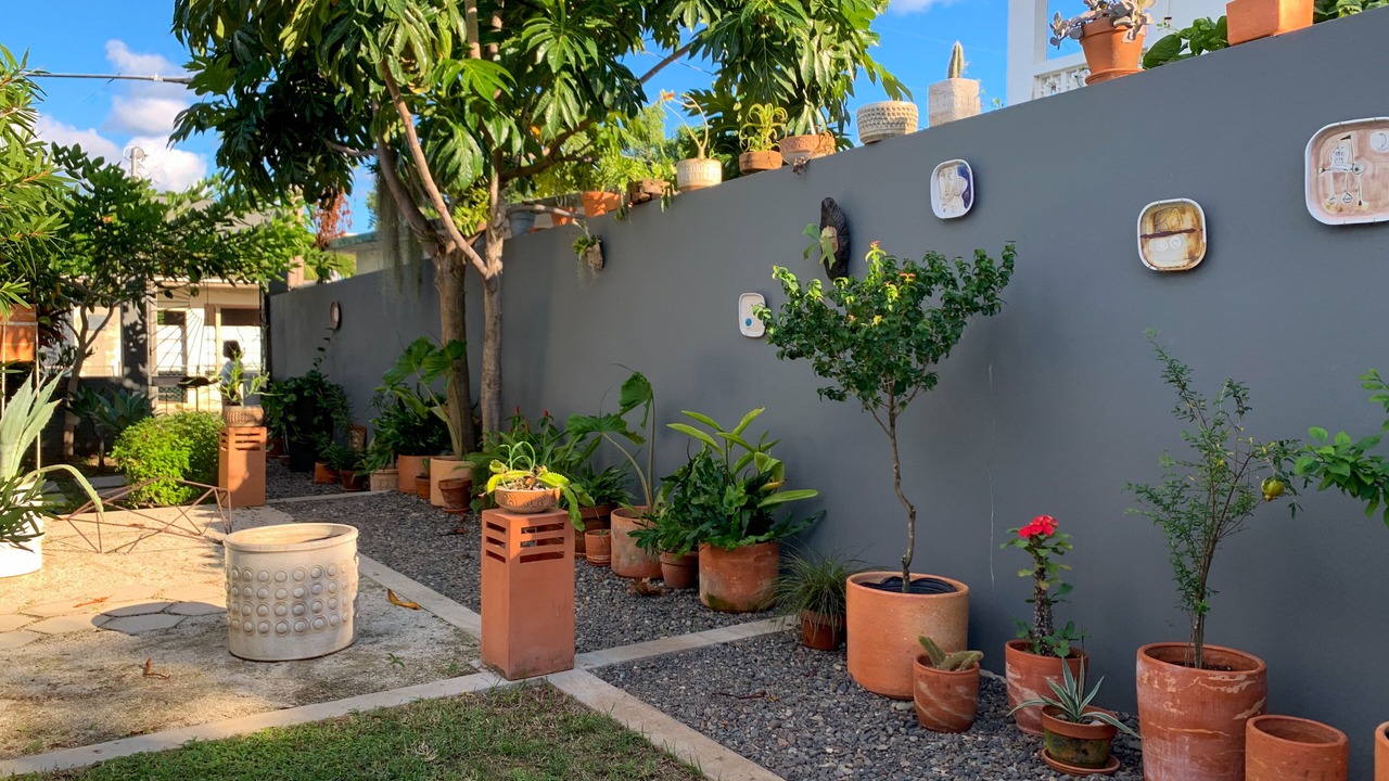 Photo of Outdoor in Isabel II