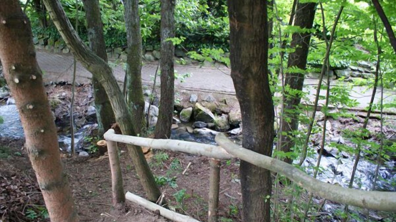 Photo of Outdoor in Silbach