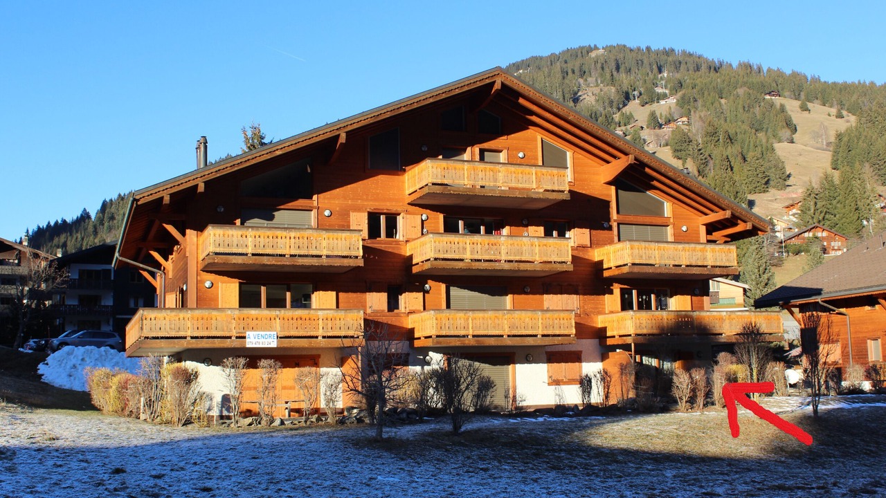 Photo of Outdoor in Morgins