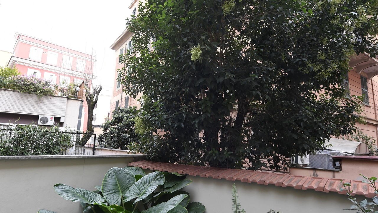 Photo of Outdoor in San Giovanni