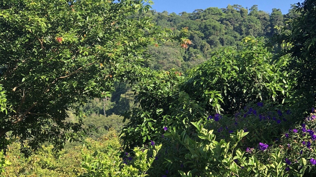 Photo of Outdoor in Portalon