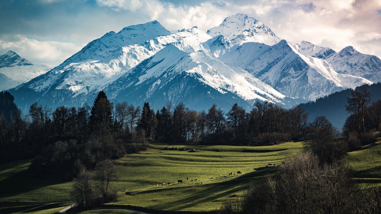 Photo of Others in Laax