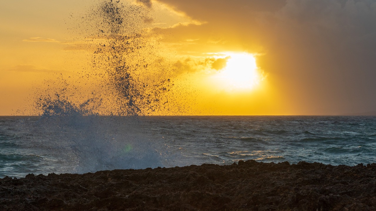 Photo of Others in Robins Bay