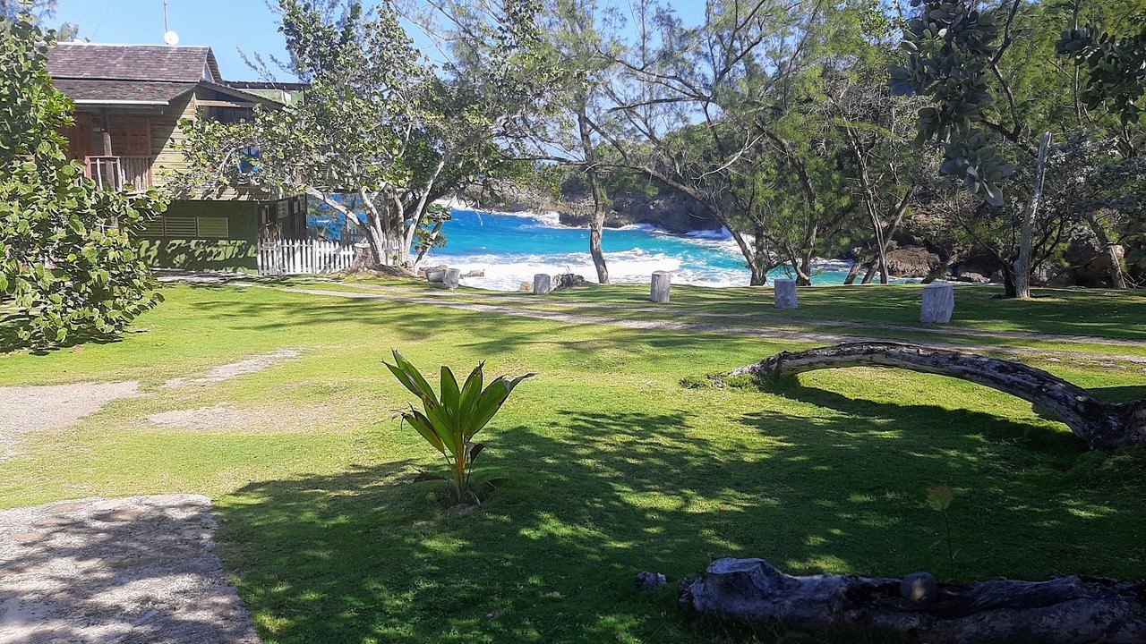 Photo of Others in Robins Bay
