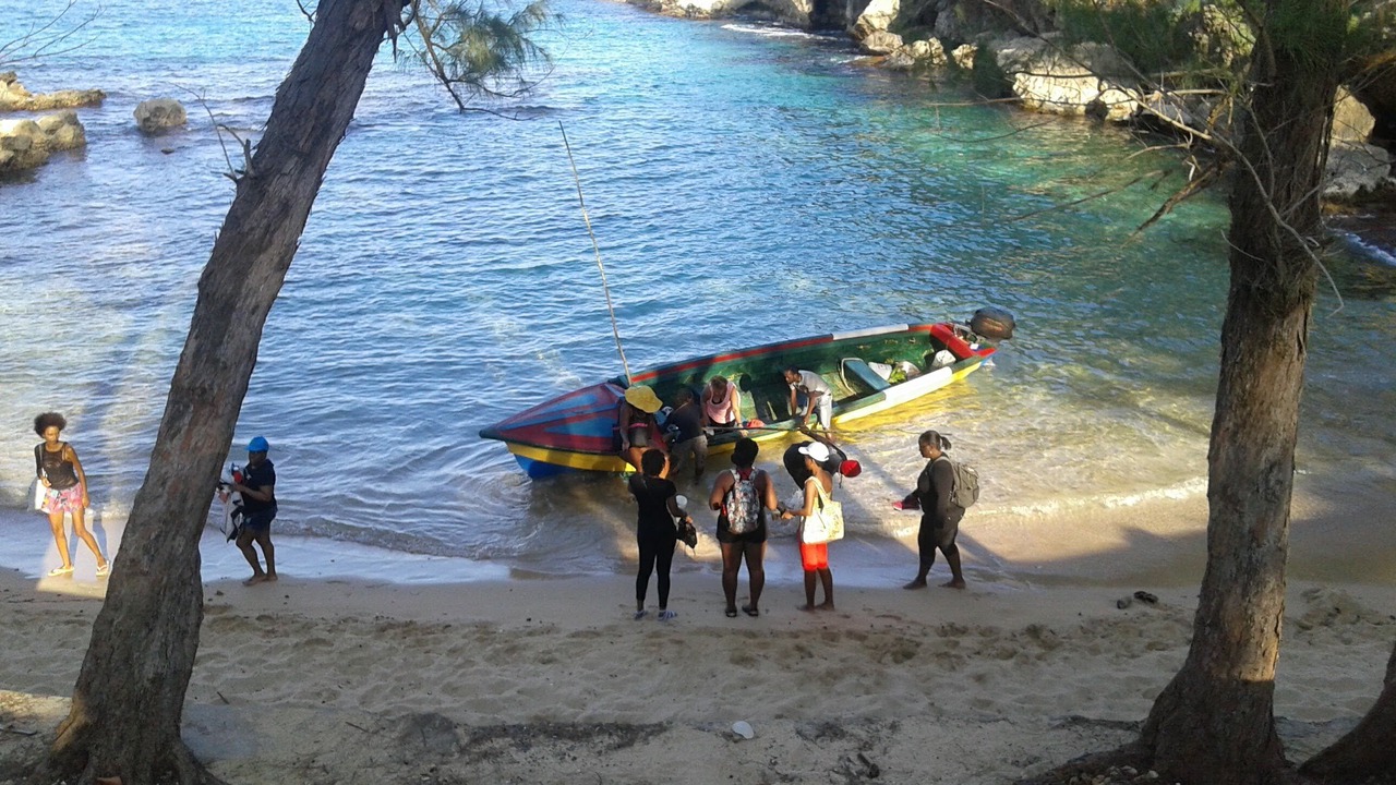 Photo of Others in Robins Bay