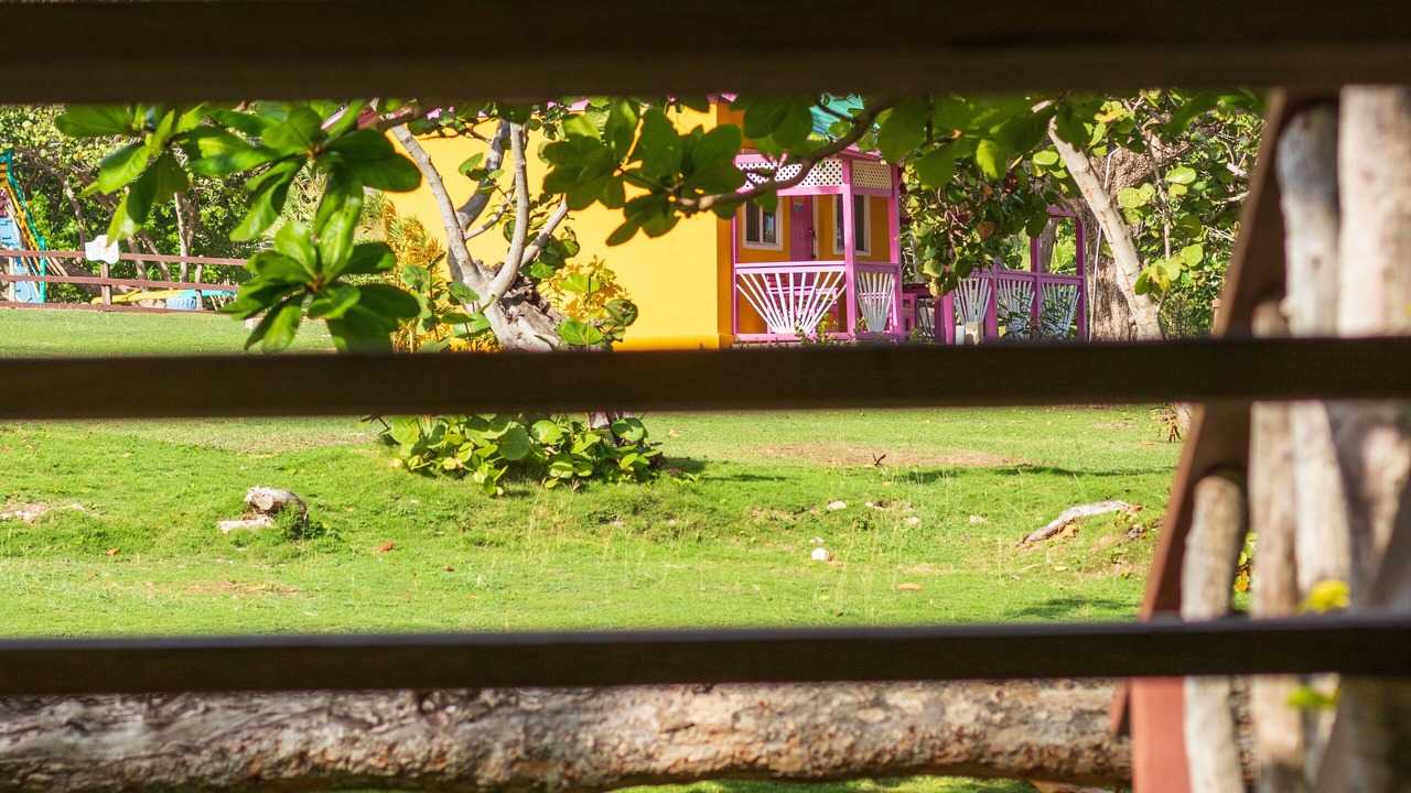 Photo of Others in Robins Bay