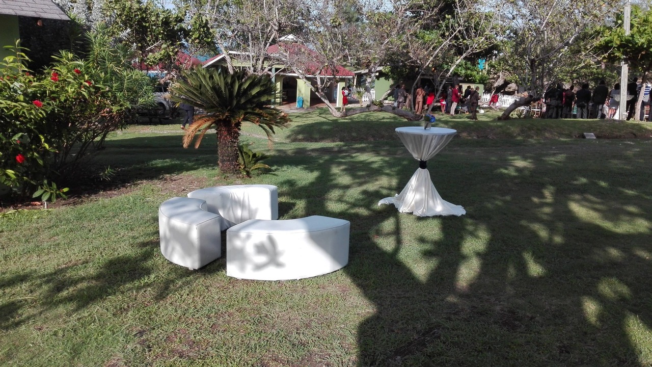 Photo of Others in Robins Bay
