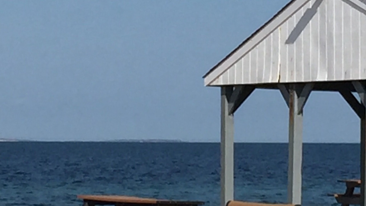 Photo of Others in Clearwater Beach