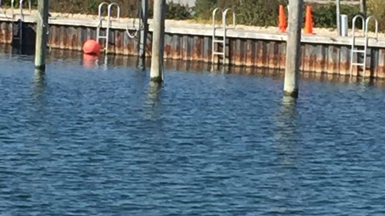 Photo of Others in Clearwater Beach
